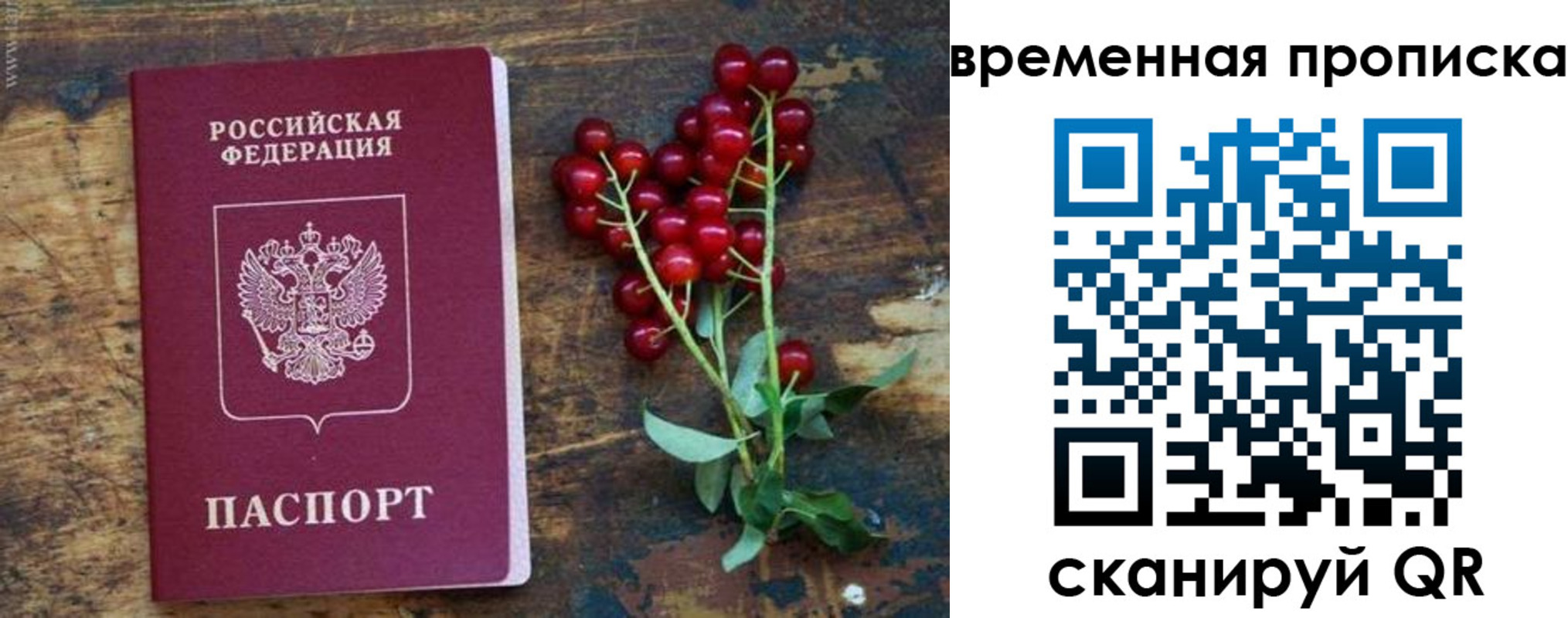 временная регистрация гарантия в Ставропольском крае